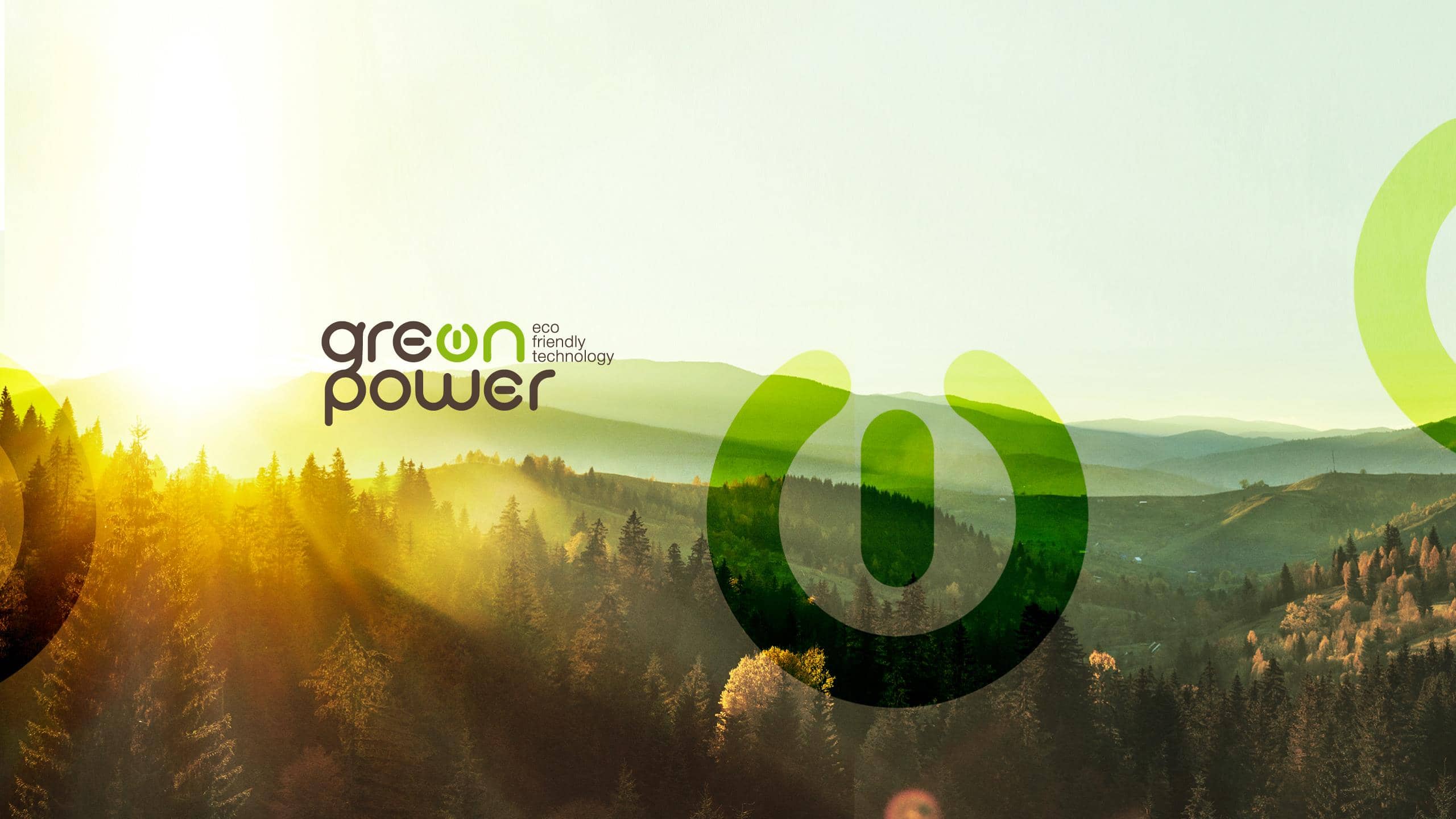 From Forest to Grill: How KOM Charcoal is Made?